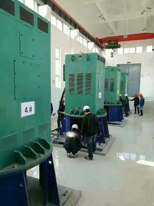 咸宁某污水处理厂使用我厂的立式高压电机安装现场