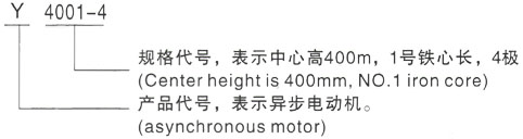 西安泰富西玛Y系列(H355-1000)高压咸宁三相异步电机型号说明
