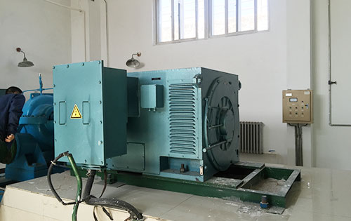 咸宁某水电站工程主水泵使用我公司高压电机